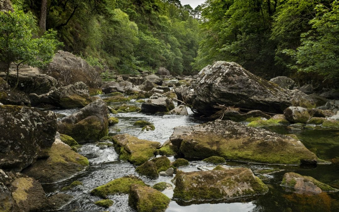 WelshotRewards Day – Walking with Your Camera –   A Guided Photo-Walk with Helen Iles:  Beddgelert