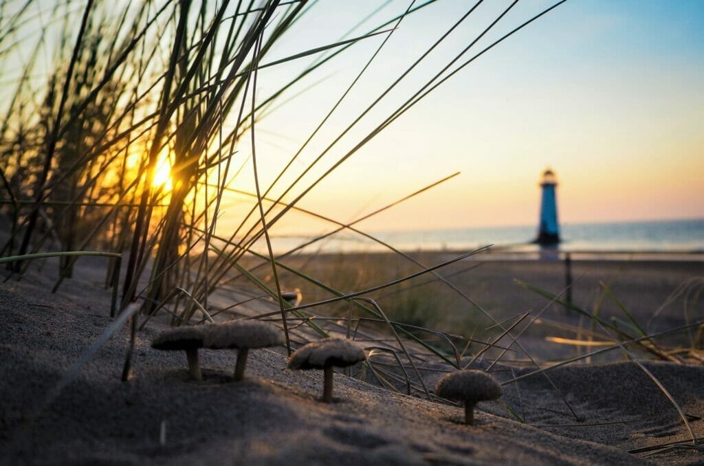 Lighthouses and Long Exposure Photography, Seascapes & Sunsets - Talacre Beach - Roving Academy Evening - Photo of the sun going down behind the lighthouse at Talacre Beach North Wales - shot through the sand dunes