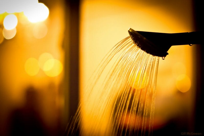 Photo showing water coming out of a watering can spout with the photographic technique of bokeh in the background
