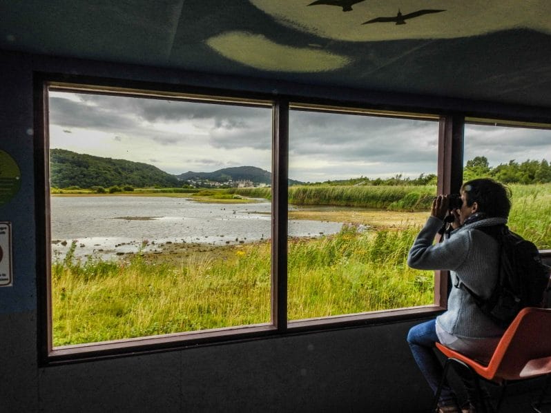 Winter Nature Ramble - Photography at RSPB Conwy - Photo of a lady in the hide overlooking the estuary towards Conwy Castle.