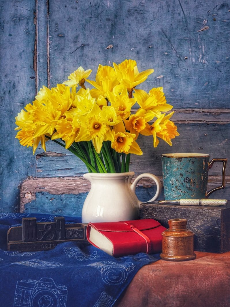 Floral Photography - Photo of a white jug with daffodils in a still-life photo -t taken at the Welshot Creative Hub in Llandudno