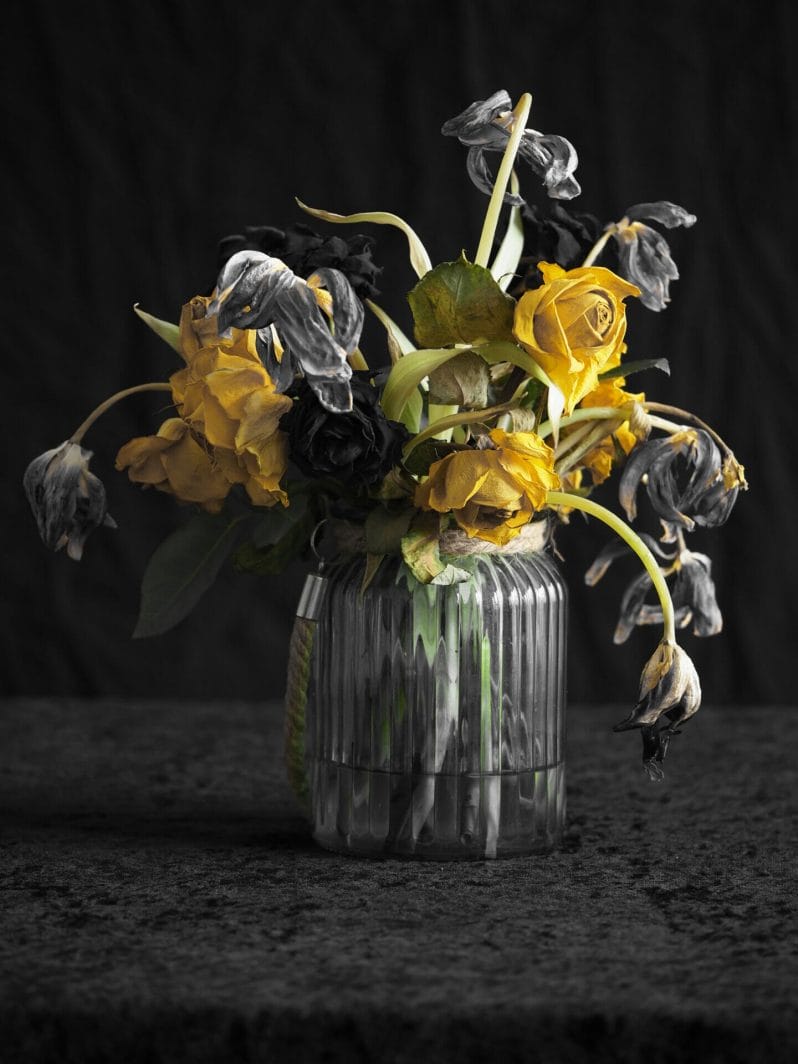 Floral Photography - Photo of a glass jar with dead tulips and roses in a still-life photo - taken at the Welshot Creative Hub in Llandudno