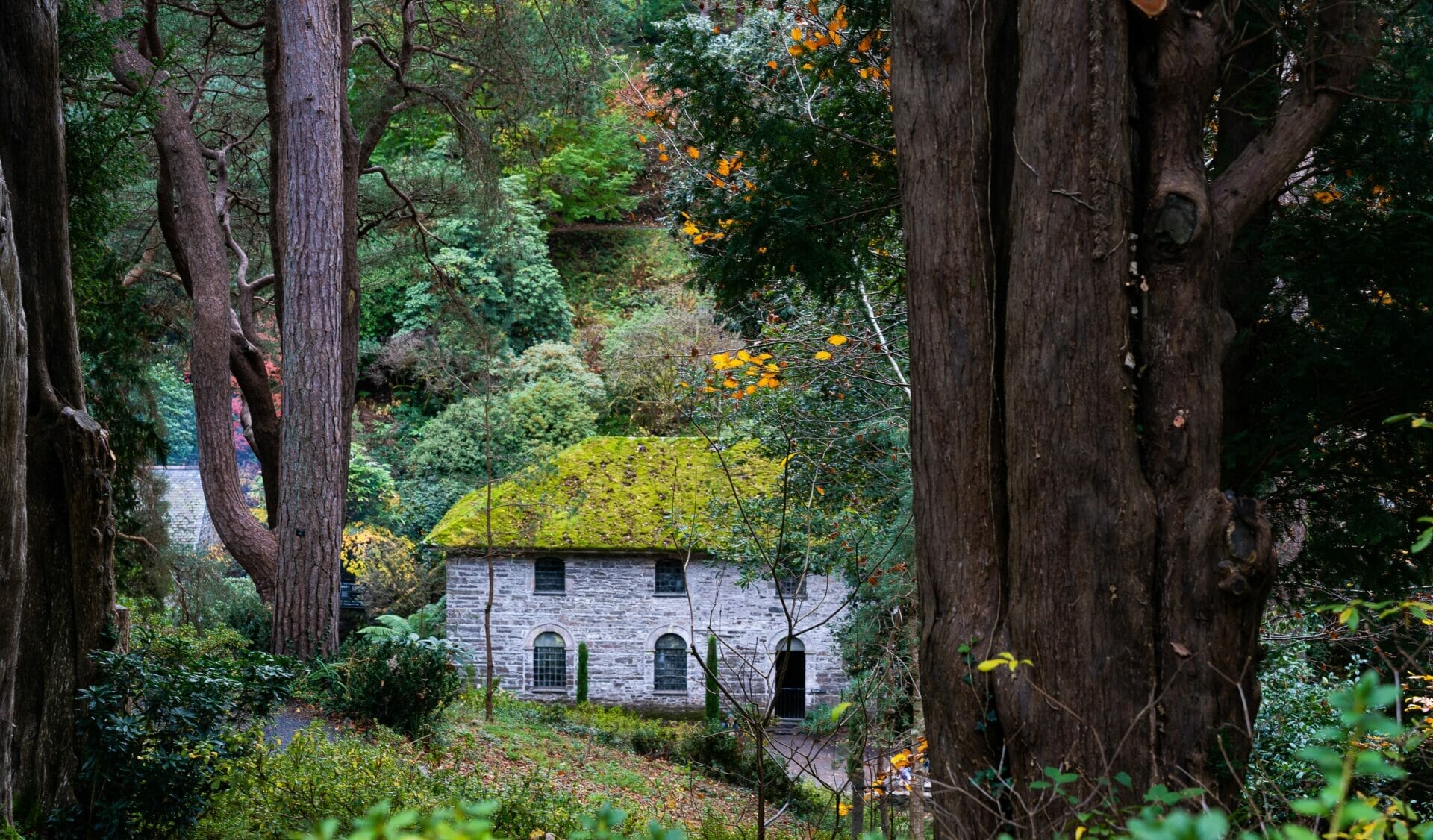Walking with Your Camera - A Guided Photo Walk with Helen Iles - Photo showing a building in the woods at Bodnant gardens