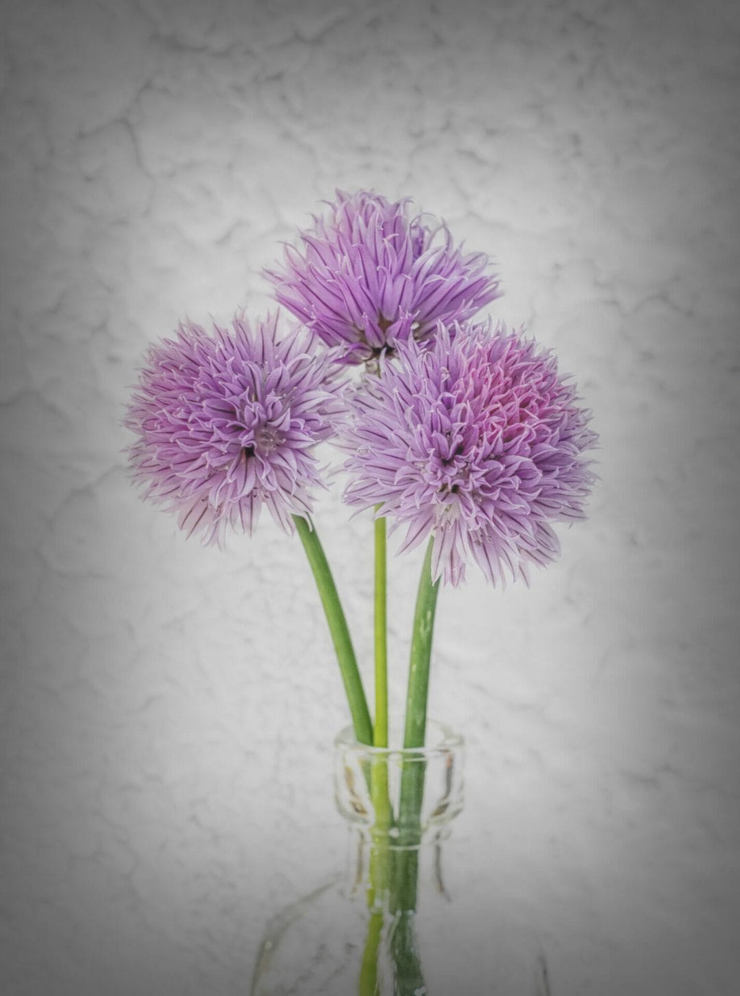 Photo of a still-life photograph showing three purple chive heads in a glass bottle on a textured background - taken at the Welshot Fine Art Floral Photography & Editing Techniques photographic workshop