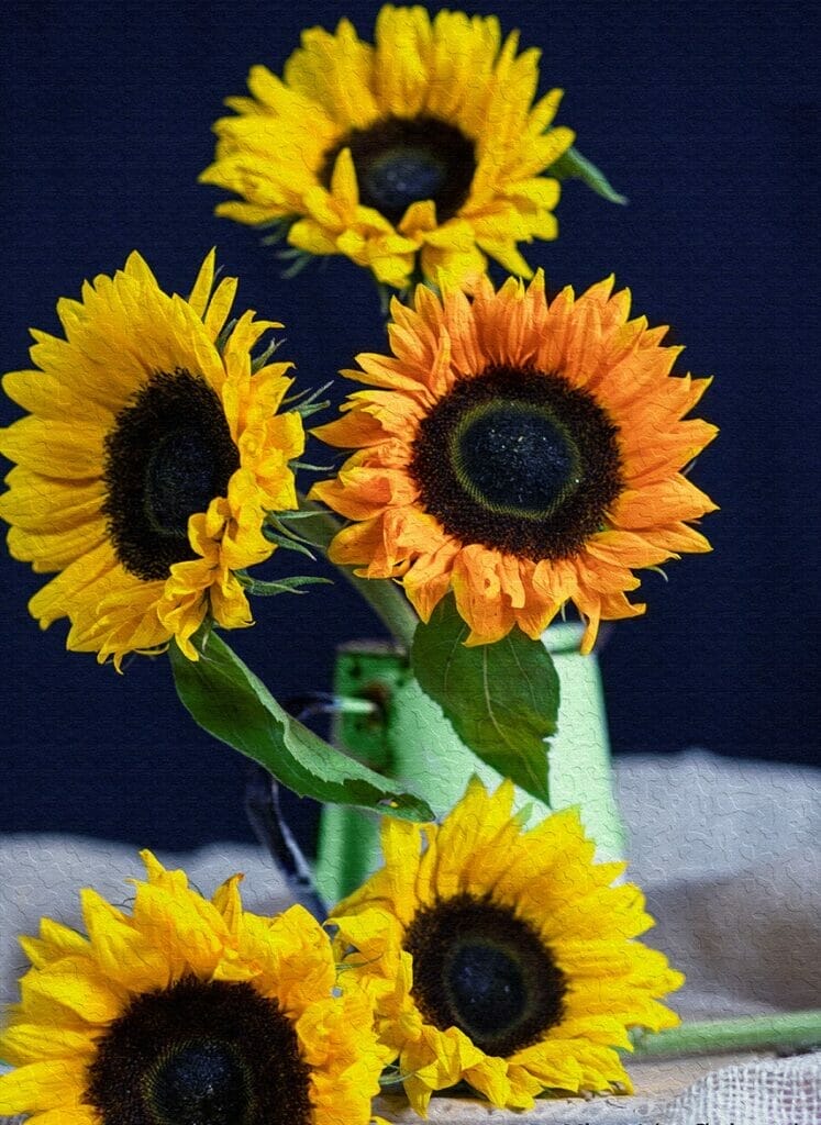 Themed Photo-Shoot: Recreate A Grand Master Paining with Welshot - Photograph depicting Sunflowers Vincent Van Gogh